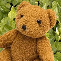 cropped-bear-with-ivy