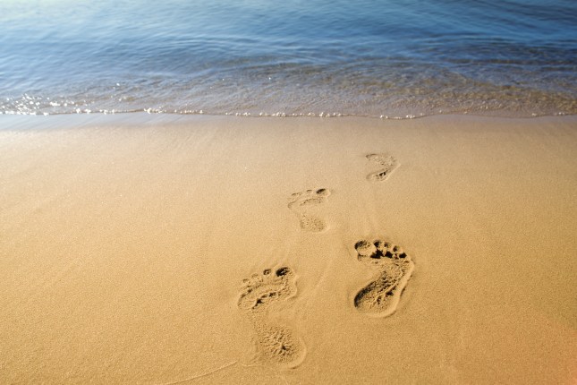 shutterstock_219953980