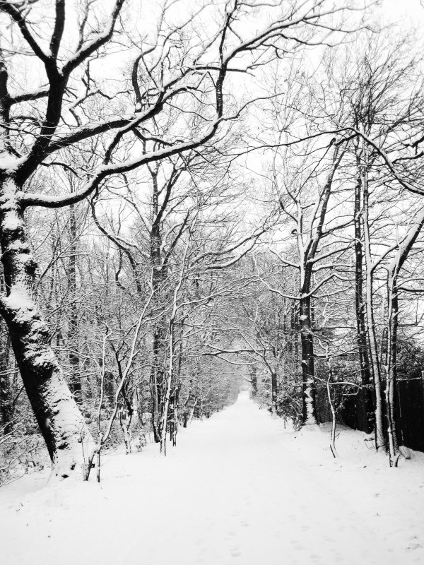 snowy_road_193732