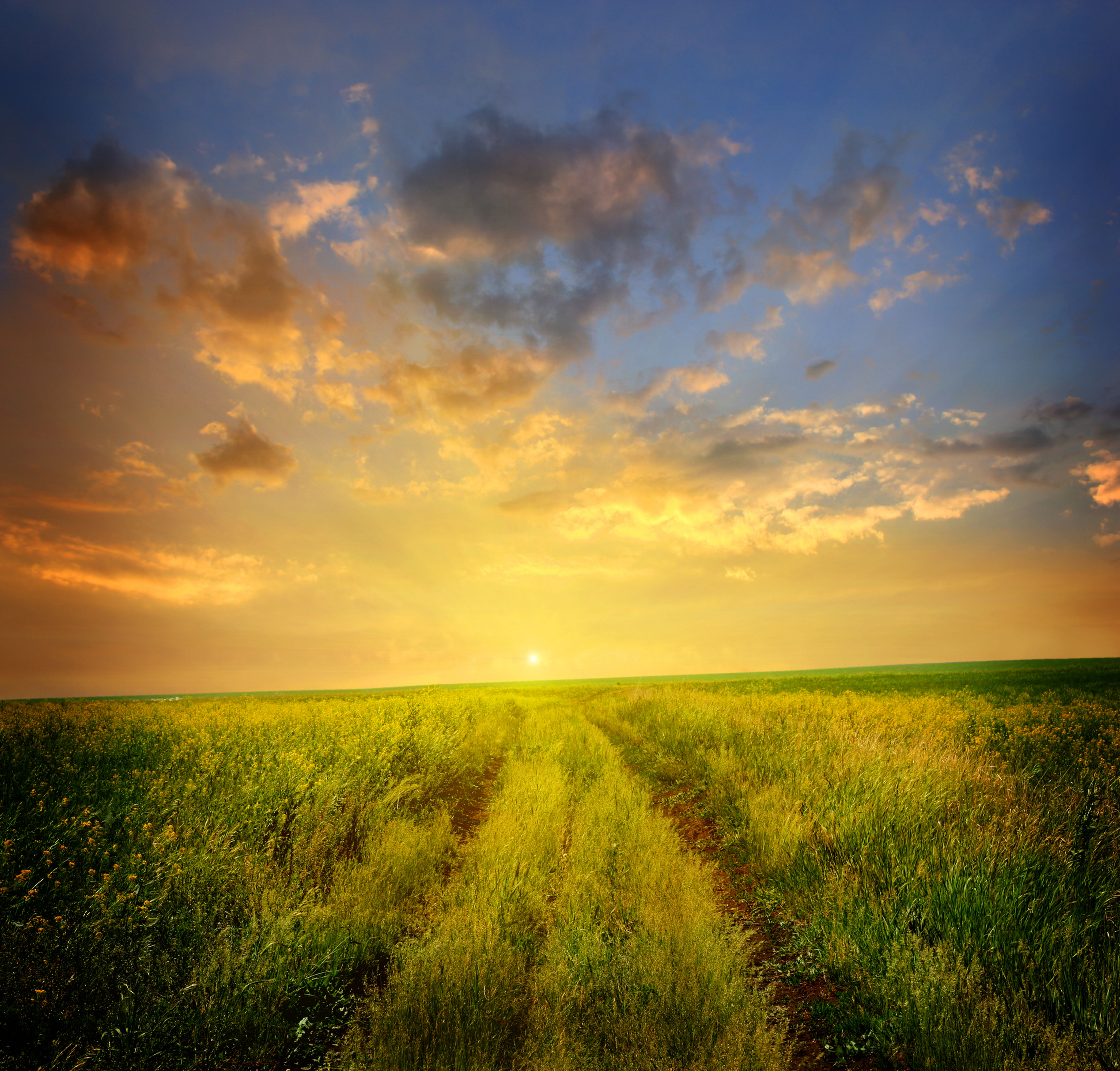 all-free-download.com_55221460